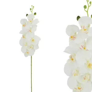 ΚΛΑΔΙ ΛΕΥΚΟ ΟΡΧΙΔΕΑ Y90cm 12/120ΚΙΒΚΛΑΔΙ ΛΕΥΚΟ ΟΡΧΙΔΕΑ Y90cm 12/120ΚΙΒ