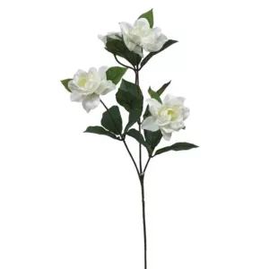 ΚΛΑΔΙ ΕΚΡΟΥ ΓΑΡΔΕΝΙΑ Y60cm. 24/288KIBΚΛΑΔΙ ΕΚΡΟΥ ΓΑΡΔΕΝΙΑ Y60cm. 24/288KIB