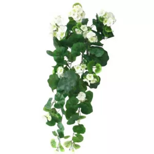 ΡΙΖΑ ΒΙΓΟΝΙΑ ΕΚΡΟΥ  Y75cm. 6/48ΚΙΒΡΙΖΑ ΒΙΓΟΝΙΑ ΕΚΡΟΥ  Y75cm. 6/48ΚΙΒ