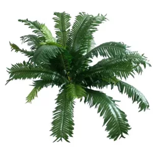 ΡΙΖΑ ΤΣΙΚΑ 50xY40cm. 12/60KIBΡΙΖΑ ΤΣΙΚΑ 50xY40cm. 12/60KIB
