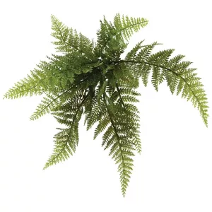 ΡΙΖΑ ΚΡΕΜΑΣΤΗ ΦΤΕΡΗ ΑΡΡΕΝΟΠΤΕΡΙΣ Φ46xY30cm 48/288KIBΡΙΖΑ ΚΡΕΜΑΣΤΗ ΦΤΕΡΗ ΑΡΡΕΝΟΠΤΕΡΙΣ Φ46xY30cm 48/288KIB