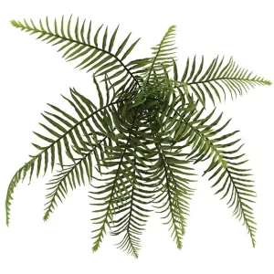 ΡΙΖΑ ΚΡΕΜΑΣΤΗ ΦΤΕΡΗ Φ60xY35cm 48/288KIBΡΙΖΑ ΚΡΕΜΑΣΤΗ ΦΤΕΡΗ Φ60xY35cm 48/288KIB