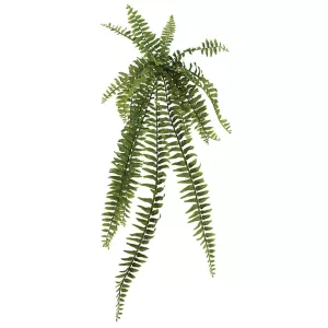 ΡΙΖΑ ΚΡΕΜΑΣΤΗ ΦΤΕΡΗ 90Υx26.5cm 24/192KIBΡΙΖΑ ΚΡΕΜΑΣΤΗ ΦΤΕΡΗ 90Υx26.5cm 24/192KIB