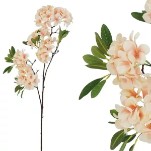 ΚΛΑΔΙ ΣΟΜΟΝ ΠΛΟΥΜΕΡΙΑ X3 Φ46/100cm 12/72ΚΙΒΚΛΑΔΙ ΣΟΜΟΝ ΠΛΟΥΜΕΡΙΑ X3 Φ46/100cm 12/72ΚΙΒ