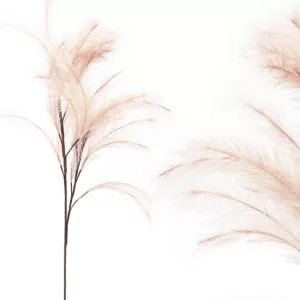 FOAM ΣΟΜΟΝ  ΠΟΥΠΟΥΛΑ - Y113/60cm 12/120KIBFOAM ΣΟΜΟΝ  ΠΟΥΠΟΥΛΑ - Y113/60cm 12/120KIB