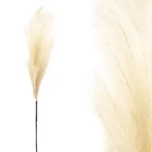 FOAM ΕΚΡΟΥ  PAMPAS  Y117/64cm 12/120KIBFOAM ΕΚΡΟΥ  PAMPAS  Y117/64cm 12/120KIB