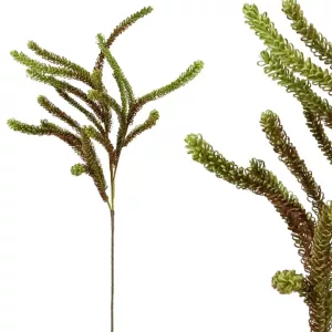 FOAM ΠΡΑΣΙΝΟ/ΚΟΚΚΙΝΟ  ΓΕΜΙΣΜΑΤΟΣ Υ101/55cm 12/120FOAM ΠΡΑΣΙΝΟ/ΚΟΚΚΙΝΟ  ΓΕΜΙΣΜΑΤΟΣ Υ101/55cm 12/120