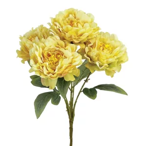 ΚΙΤΡΙΝΟ ΠΑΣΤΕΛ ΜΠΟΥΚΕΤΟ ΠΑΙΩΝΙΑ Χ5 - Υ48cm 12/48ΚΙΒΚΙΤΡΙΝΟ ΠΑΣΤΕΛ ΜΠΟΥΚΕΤΟ ΠΑΙΩΝΙΑ Χ5 - Υ48cm 12/48ΚΙΒ
