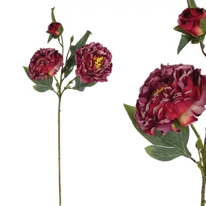 KOKKINO ΠΑΣΤΕΛ ΚΛΑΔΙ ΠΑΙΩΝΙΑ - Υ71cm 24/144ΚΙΒKOKKINO ΠΑΣΤΕΛ ΚΛΑΔΙ ΠΑΙΩΝΙΑ - Υ71cm 24/144ΚΙΒ