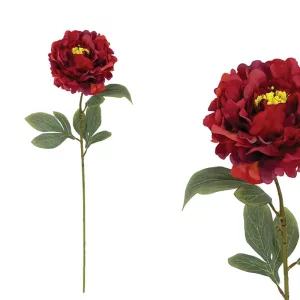 KOKKINO ΠΑΣΤΕΛ ΚΛΑΔΙ ΠΑΙΩΝΙΑ - Υ61cm 24/144ΚΙΒKOKKINO ΠΑΣΤΕΛ ΚΛΑΔΙ ΠΑΙΩΝΙΑ - Υ61cm 24/144ΚΙΒ