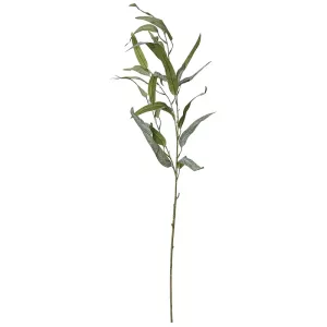 ΚΛΑΔΙ ΕΥΚΑΛΥΠΤΟΣ ΠΡΑΣΙΝΟ ΠΑΓΟΥ - Υ90cm 60/360ΚΙΒΚΛΑΔΙ ΕΥΚΑΛΥΠΤΟΣ ΠΡΑΣΙΝΟ ΠΑΓΟΥ - Υ90cm 60/360ΚΙΒ