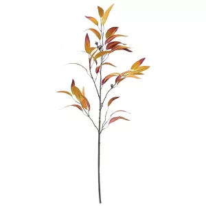 ΚΛΑΔΙ ΕΥΚΑΛΥΠΤΟΣ ΠΟΡΤΟΚΑΛΙ - Υ99cm 24/144ΚΙΒΚΛΑΔΙ ΕΥΚΑΛΥΠΤΟΣ ΠΟΡΤΟΚΑΛΙ - Υ99cm 24/144ΚΙΒ