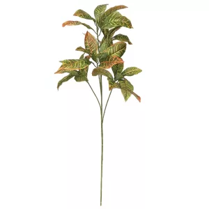 ΚΛΑΔΙ ΚΡΟΤΩΝΑΣ ΠΡΑΣΙΝΟ/ΚΙΤΡΙΝΟ - Υ90cm 12/120ΚΙΒΚΛΑΔΙ ΚΡΟΤΩΝΑΣ ΠΡΑΣΙΝΟ/ΚΙΤΡΙΝΟ - Υ90cm 12/120ΚΙΒ