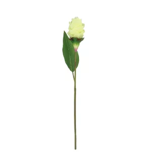 ΚΛΑΔΙ ΤΖΙΝΤΖΕΡ ΕΚΡΟΥ - Υ62cm 12/96KIBΚΛΑΔΙ ΤΖΙΝΤΖΕΡ ΕΚΡΟΥ - Υ62cm 12/96KIB
