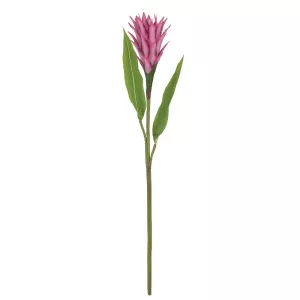 ΚΛΑΔΙ ΑΛΠΙΝΙΑ ΦΟΥΞ - Y85cm 12/72KIBΚΛΑΔΙ ΑΛΠΙΝΙΑ ΦΟΥΞ - Y85cm 12/72KIB