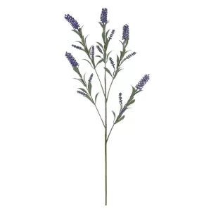 ΚΛΑΔΙ ΛΕΒΑΝΤΑΣ ΜΩΒ - Y84cm 24/168KIBΚΛΑΔΙ ΛΕΒΑΝΤΑΣ ΜΩΒ - Y84cm 24/168KIB