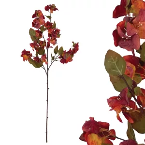 ΚΛΑΔΙ ΒΟΥΚΑΜΒΙΛΙΑΣ ΚΕΡΑΜΙΔΙ - Υ108cm 24/144KIBΚΛΑΔΙ ΒΟΥΚΑΜΒΙΛΙΑΣ ΚΕΡΑΜΙΔΙ - Υ108cm 24/144KIB