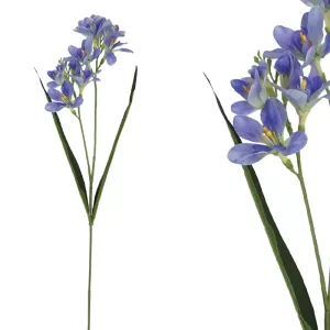 ΚΛΑΔΙ ΦΡΕΖΙΑ REAL ΜΩΒ TOUCH ΜΕ 2 ΚΛΑΔΙΑ ~ 5 ΛΟΥΛΟΥΔΙΑ - Y65cm 36/432ΚΙΒΚΛΑΔΙ ΦΡΕΖΙΑ REAL ΜΩΒ TOUCH ΜΕ 2 ΚΛΑΔΙΑ ~ 5 ΛΟΥΛΟΥΔΙΑ - Y65cm 36/432ΚΙΒ