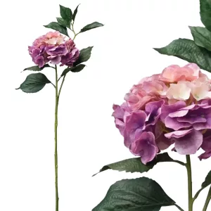 ΚΛΑΔΙ ΟΡΤΑΝΣΙΑ ΜΩΒ REAL TOUCH ΜΕ 2 ΣΤΕΛΕΧΗ - Υ110cm 12/72ΚΙΒΚΛΑΔΙ ΟΡΤΑΝΣΙΑ ΜΩΒ REAL TOUCH ΜΕ 2 ΣΤΕΛΕΧΗ - Υ110cm 12/72ΚΙΒ