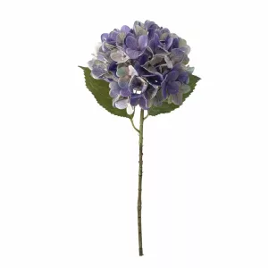 ΚΛΑΔΙ ΟΡΤΑΝΣΙΑΣ ΜΩΒ REAL TOUCH ΜΕ 2 ΦΥΛΛΑ - Φ22.5x55cm 24/240ΚΙΒΚΛΑΔΙ ΟΡΤΑΝΣΙΑΣ ΜΩΒ REAL TOUCH ΜΕ 2 ΦΥΛΛΑ - Φ22.5x55cm 24/240ΚΙΒ