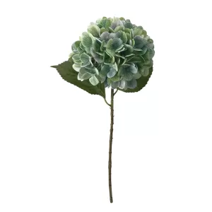 ΚΛΑΔΙ ΟΡΤΑΝΣΙΑΣ ΠΡΑΣΙΝΟ REAL TOUCH ΜΕ 2 ΦΥΛΛΑ - Φ22.5x55cm 24/240ΚΙΒΚΛΑΔΙ ΟΡΤΑΝΣΙΑΣ ΠΡΑΣΙΝΟ REAL TOUCH ΜΕ 2 ΦΥΛΛΑ - Φ22.5x55cm 24/240ΚΙΒ