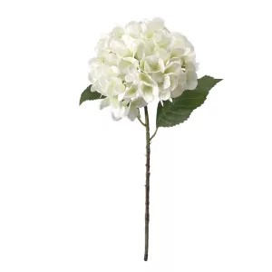 ΚΛΑΔΙ ΟΡΤΑΝΣΙΑΣ ΛΕΥΚΟ REAL TOUCH ΜΕ 2 ΦΥΛΛΑ - Φ22.5x55cm 24/240ΚΙΒΚΛΑΔΙ ΟΡΤΑΝΣΙΑΣ ΛΕΥΚΟ REAL TOUCH ΜΕ 2 ΦΥΛΛΑ - Φ22.5x55cm 24/240ΚΙΒ