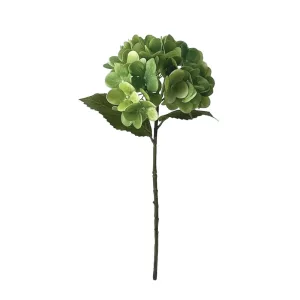 ΚΛΑΔΙ ΟΡΤΑΝΣΙΑΣ ΠΡΑΣΙΝΟ REAL TOUCH ΜΕ 2 ΦΥΛΛΑ - Φ18x46cm 24/240ΚΙΒΚΛΑΔΙ ΟΡΤΑΝΣΙΑΣ ΠΡΑΣΙΝΟ REAL TOUCH ΜΕ 2 ΦΥΛΛΑ - Φ18x46cm 24/240ΚΙΒ