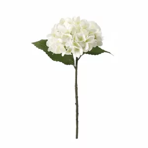 ΚΛΑΔΙ ΟΡΤΑΝΣΙΑΣ ΛΕΥΚΟ REAL TOUCH ΜΕ 2 ΦΥΛΛΑ - Φ18x46cm 24/240ΚΙΒΚΛΑΔΙ ΟΡΤΑΝΣΙΑΣ ΛΕΥΚΟ REAL TOUCH ΜΕ 2 ΦΥΛΛΑ - Φ18x46cm 24/240ΚΙΒ