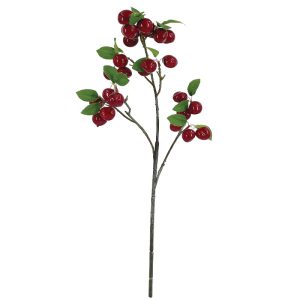 ΚΛΑΔΙ ΞΙΝΟΜΗΛΙΑ ΚΟΚΚΙΝΟ ΜΕ ΚΑΡΠΟΥΣ - Y69cm 12/144ΚΙΒΚΛΑΔΙ ΞΙΝΟΜΗΛΙΑ ΚΟΚΚΙΝΟ ΜΕ ΚΑΡΠΟΥΣ - Y69cm 12/144ΚΙΒ