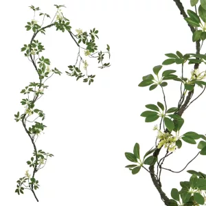 ΓΙΡΛΑΝΤΑ ΚΛΑΡΑ ΜΕ ΠΡΑΣΙΝΑ ΦΥΛΛΑ & ΛΕΥΚΑ ΑΝΘΑΚΙΑ - Υ240cm 140/ΚΙΒΓΙΡΛΑΝΤΑ ΚΛΑΡΑ ΜΕ ΠΡΑΣΙΝΑ ΦΥΛΛΑ & ΛΕΥΚΑ ΑΝΘΑΚΙΑ - Υ240cm 140/ΚΙΒ