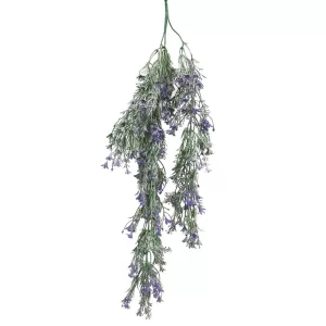 ΡΙΖΑ ΚΡΕΜΑΣΤΗ ΜΩΒ ΛΕΒΑΝΤΑ ΠΡΑΣΙΝΑΔΑ - Υ80cm 3/48ΚΙΒΡΙΖΑ ΚΡΕΜΑΣΤΗ ΜΩΒ ΛΕΒΑΝΤΑ ΠΡΑΣΙΝΑΔΑ - Υ80cm 3/48ΚΙΒ