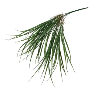 ΡΙΖΑ ΚΡΕΜΑΣΤΗ ΙΕΡΟΧΛΟΗ ΠΡΑΣΙΝΟ - Y62cm 24/144ΚΙΒΡΙΖΑ ΚΡΕΜΑΣΤΗ ΙΕΡΟΧΛΟΗ ΠΡΑΣΙΝΟ - Y62cm 24/144ΚΙΒ
