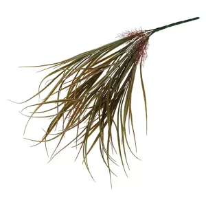 ΡΙΖΑ ΚΡΕΜΑΣΤΗ ΙΕΡΟΧΛΟΗ ΚΑΦΕ - Y62cm 24/144ΚΙΒΡΙΖΑ ΚΡΕΜΑΣΤΗ ΙΕΡΟΧΛΟΗ ΚΑΦΕ - Y62cm 24/144ΚΙΒ