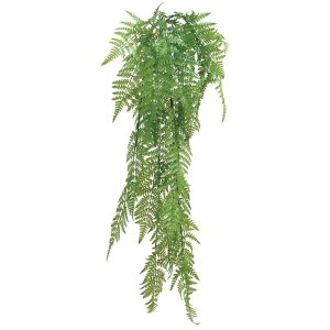 ΡΙΖΑ ΚΡΕΜΑΣΤΗ ΦΤΕΡΗ ΠΡΑΣΙΝΟ - Υ120cm 30/120ΚΙΒΡΙΖΑ ΚΡΕΜΑΣΤΗ ΦΤΕΡΗ ΠΡΑΣΙΝΟ - Υ120cm 30/120ΚΙΒ