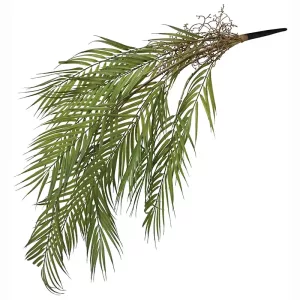 ΡΙΖΑ ΚΡΕΜΑΣΤΗ ΚΕΝΤΙΑ ΠΡΑΣΙΝΟ - Υ94cm 36/144ΚΙΒΡΙΖΑ ΚΡΕΜΑΣΤΗ ΚΕΝΤΙΑ ΠΡΑΣΙΝΟ - Υ94cm 36/144ΚΙΒ