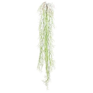 ΡΙΖΑ ΚΡΕΜΑΣΤΗ ΑΕΡΟΦΥΤΟ ΛΑΧΑΝΙ - Y138cm 36/144ΚΙΒΡΙΖΑ ΚΡΕΜΑΣΤΗ ΑΕΡΟΦΥΤΟ ΛΑΧΑΝΙ - Y138cm 36/144ΚΙΒ