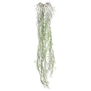 ΡΙΖΑ ΚΡΕΜΑΣΤΗ ΑΕΡΟΦΥΤΟ ΠΡΑΣΙΝΟ - Y138cm 36/144ΚΙΒΡΙΖΑ ΚΡΕΜΑΣΤΗ ΑΕΡΟΦΥΤΟ ΠΡΑΣΙΝΟ - Y138cm 36/144ΚΙΒ