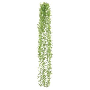 ΡΙΖΑ ΚΡΕΜΑΣΤΗ ΙΤΙΑ ΛΑΧΑΝΙ - Y110cm 36/180ΚΙΒΡΙΖΑ ΚΡΕΜΑΣΤΗ ΙΤΙΑ ΛΑΧΑΝΙ - Y110cm 36/180ΚΙΒ