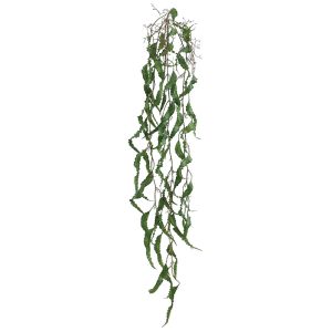 ΡΙΖΑ ΚΡΕΜΑΣΤΗ ΧΑΠΕΡΖΙΑ ΠΡΑΣΙΝΟ - Υ136cm 36/144ΚΙΒΡΙΖΑ ΚΡΕΜΑΣΤΗ ΧΑΠΕΡΖΙΑ ΠΡΑΣΙΝΟ - Υ136cm 36/144ΚΙΒ
