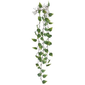 ΡΙΖΑ ΚΡΕΜΑΣΤΗ ΜΟΝΣΤΕΡΑ ΠΡΑΣΙΝΟ - Y125cm 36/144ΚΙΒΡΙΖΑ ΚΡΕΜΑΣΤΗ ΜΟΝΣΤΕΡΑ ΠΡΑΣΙΝΟ - Y125cm 36/144ΚΙΒ