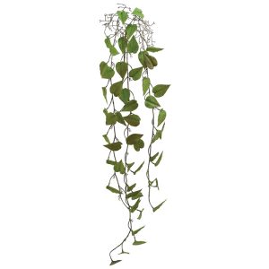 ΡΙΖΑ ΚΡΕΜΑΣΤΗ ΜΟΝΣΤΕΡΑ ΚΑΦΕ/ΠΡΑΣΙΝΟ - Y125cm 36/144ΚΙΒΡΙΖΑ ΚΡΕΜΑΣΤΗ ΜΟΝΣΤΕΡΑ ΚΑΦΕ/ΠΡΑΣΙΝΟ - Y125cm 36/144ΚΙΒ