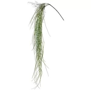 ΡΙΖΑ ΚΡΕΜΑΣΤΗ ΓΚΡΑΣΣ ΠΡΑΣΙΝΟ - Y134cm 48/192ΚΙΒΡΙΖΑ ΚΡΕΜΑΣΤΗ ΓΚΡΑΣΣ ΠΡΑΣΙΝΟ - Y134cm 48/192ΚΙΒ