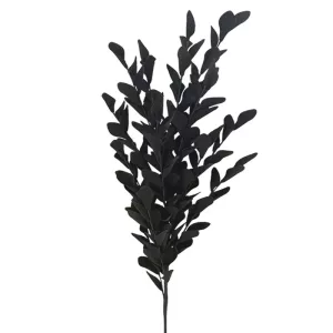 ΚΛΑΔΙ FOAM ΦΥΛΛΑ ΧΩΝΑΚΙΑ ΜΑΥΡΟ - Φ30x110cm 6/36ΚΙΒΚΛΑΔΙ FOAM ΦΥΛΛΑ ΧΩΝΑΚΙΑ ΜΑΥΡΟ - Φ30x110cm 6/36ΚΙΒ