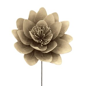 ΛΟΥΛΟΥΔΙ FOAM ΑΝΘΟΣ ΛΩΤΟΥ ΚΑΦΕ - Φ30x80cm 12/48ΚΙΒΛΟΥΛΟΥΔΙ FOAM ΑΝΘΟΣ ΛΩΤΟΥ ΚΑΦΕ - Φ30x80cm 12/48ΚΙΒ