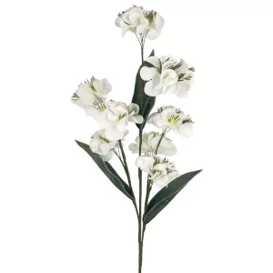 ΚΛΑΔΙ FOAM ΛΕΥΚΟ ΓΑΡΔΕΝΙΑ Χ8 ΛΟΥΛΟΥΔΙΑ - Φ95x25cm 4/32KIBΚΛΑΔΙ FOAM ΛΕΥΚΟ ΓΑΡΔΕΝΙΑ Χ8 ΛΟΥΛΟΥΔΙΑ - Φ95x25cm 4/32KIB