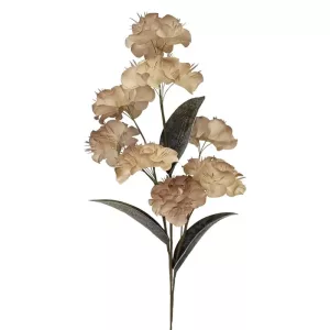 ΚΛΑΔΙ FOAM ΚΑΦΕ ΓΑΡΔΕΝΙΑ Χ8 ΛΟΥΛΟΥΔΙΑ - Φ95x25cm 4/32KIBΚΛΑΔΙ FOAM ΚΑΦΕ ΓΑΡΔΕΝΙΑ Χ8 ΛΟΥΛΟΥΔΙΑ - Φ95x25cm 4/32KIB