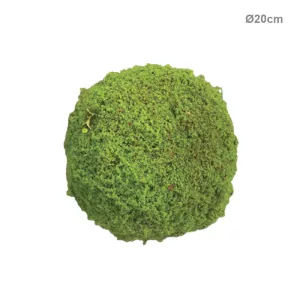 ΜΠΑΛΑ ΠΥΞΑΡΙ ΒΡΥΑΣ ΠΡΑΣΙΝΗ ΜΙΚΡΗ - Φ20cm 8/KIBΜΠΑΛΑ ΠΥΞΑΡΙ ΒΡΥΑΣ ΠΡΑΣΙΝΗ ΜΙΚΡΗ - Φ20cm 8/KIB