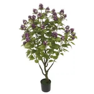 ΔΕΝΤΡΟ ΠΑΣΧΑΛΙΑ ΣΕ ΓΛΑΣΤΡΑ - Y138cm 2/ΚΙΒΔΕΝΤΡΟ ΠΑΣΧΑΛΙΑ ΣΕ ΓΛΑΣΤΡΑ - Y138cm 2/ΚΙΒ