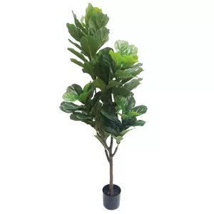 ΔΕΝΤΡΟ ΦΟΙΚΟΣ ΛΥΡΑΤΑ REAL TOUCH ΣΕ ΓΛΑΣΤΡΑ - Υ174cm 4/ΚΙΒΔΕΝΤΡΟ ΦΟΙΚΟΣ ΛΥΡΑΤΑ REAL TOUCH ΣΕ ΓΛΑΣΤΡΑ - Υ174cm 4/ΚΙΒ