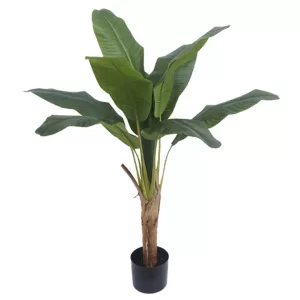ΔΕΝΤΡΟ ΜΠΑΝΑΝΙΑ ΜΟΝΗ REAL TOUCH ΣΕ ΓΛΑΣΤΡΑ - Υ125cm 4/ΚΙΒΔΕΝΤΡΟ ΜΠΑΝΑΝΙΑ ΜΟΝΗ REAL TOUCH ΣΕ ΓΛΑΣΤΡΑ - Υ125cm 4/ΚΙΒ